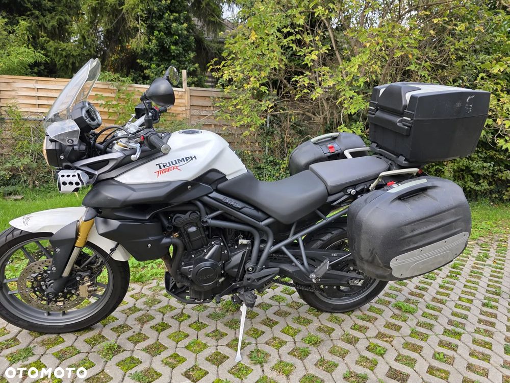 Triumph Tiger - 11