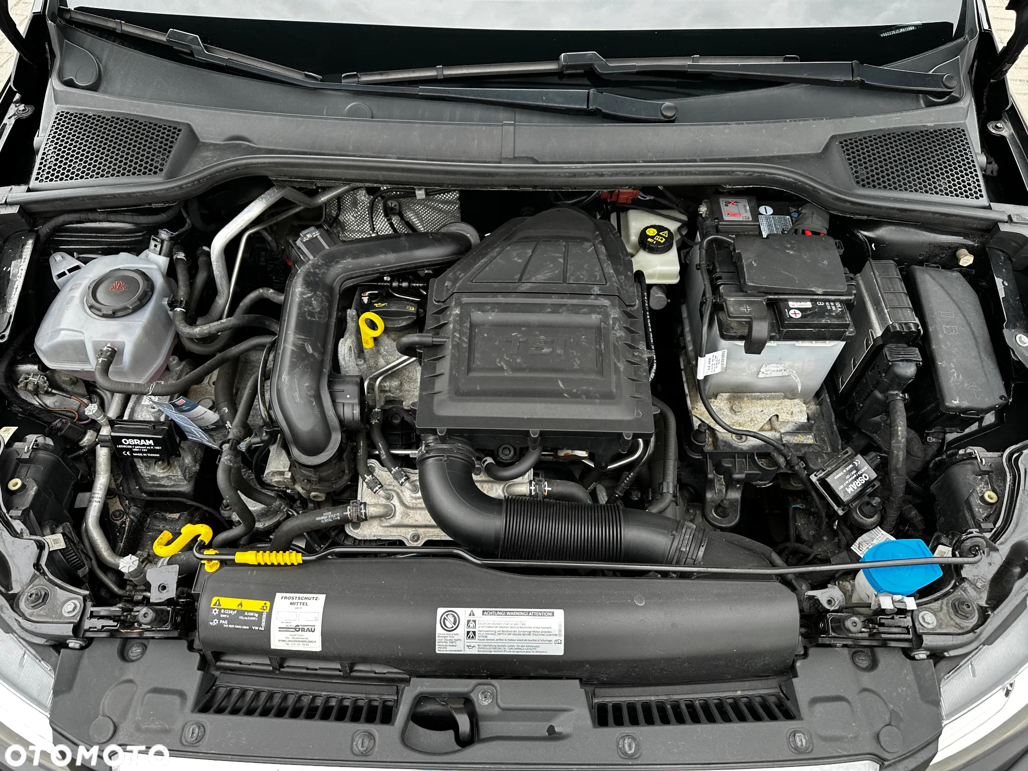 Seat Ibiza - 30