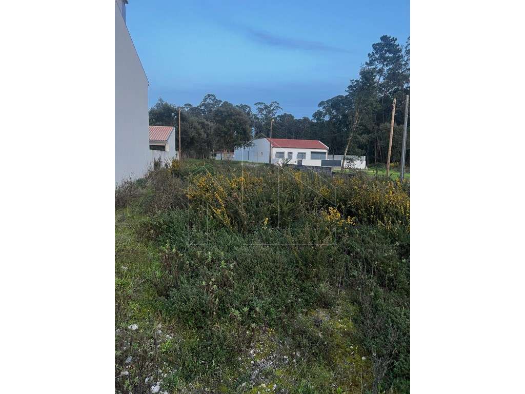 Terreno Urbano para construção - Esgueira - Grande imagem: 3/3