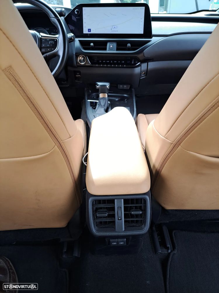 Lexus UX 250h F Sport - 15