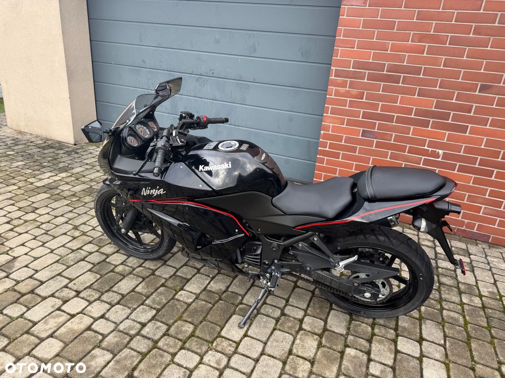 Kawasaki Ninja 250R - 10