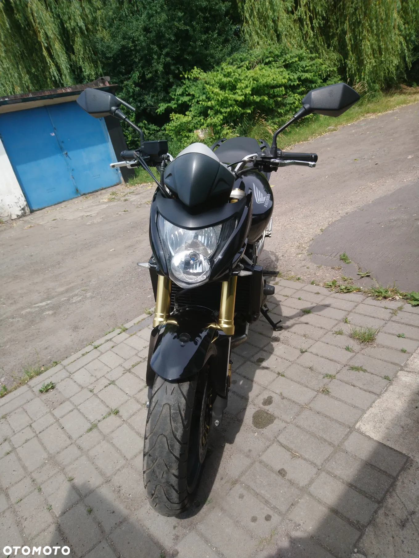 Honda Hornet - 4
