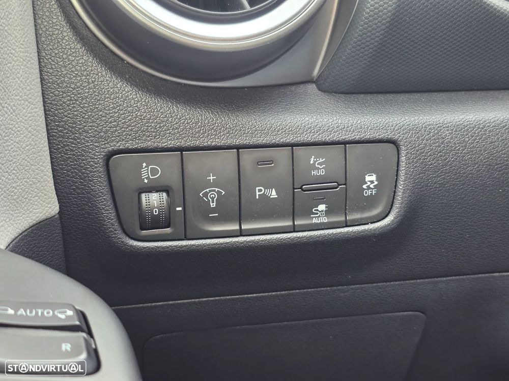 Hyundai Kauai Business - 21