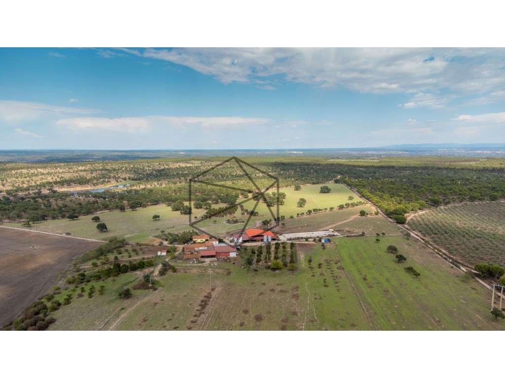 Quinta de 36 hectares para venda em Ponte de Sôr - Grande imagem: 4/29