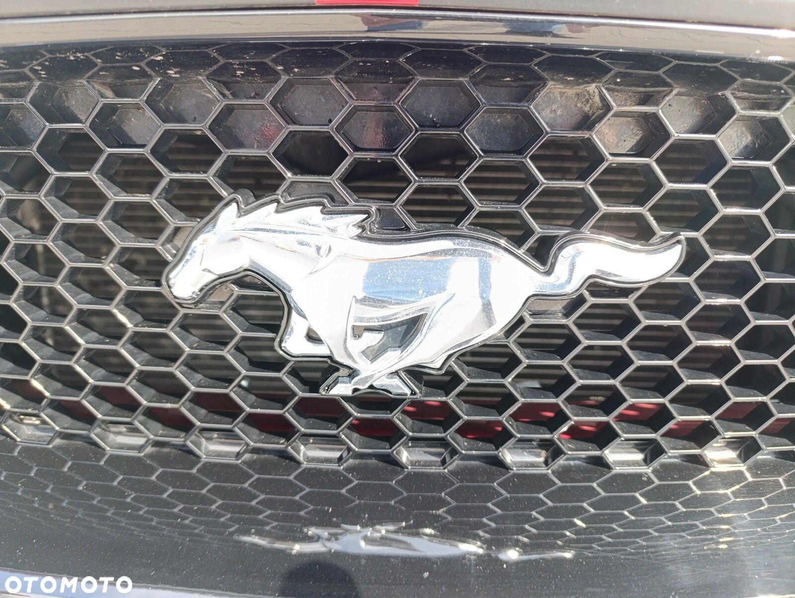 Ford Mustang - 13