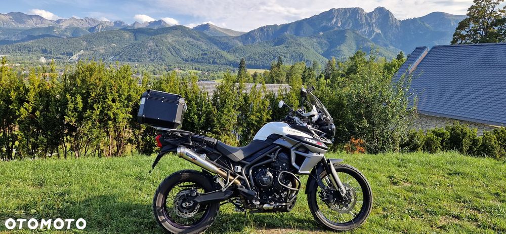 Triumph Tiger - 20