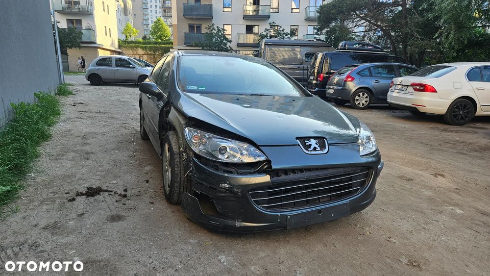 Peugeot 407 - 7