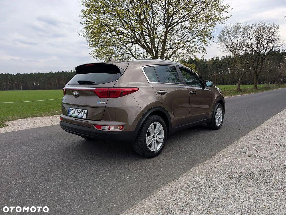 Kia Sportage 1.6 GDI L Business Line Plus 2WD - 11