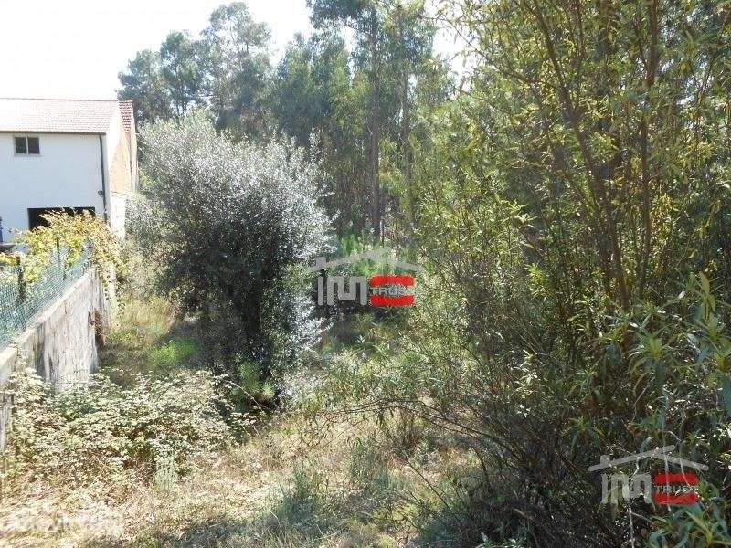 Terreno boa localização Ourem - Grande imagem: 3/6