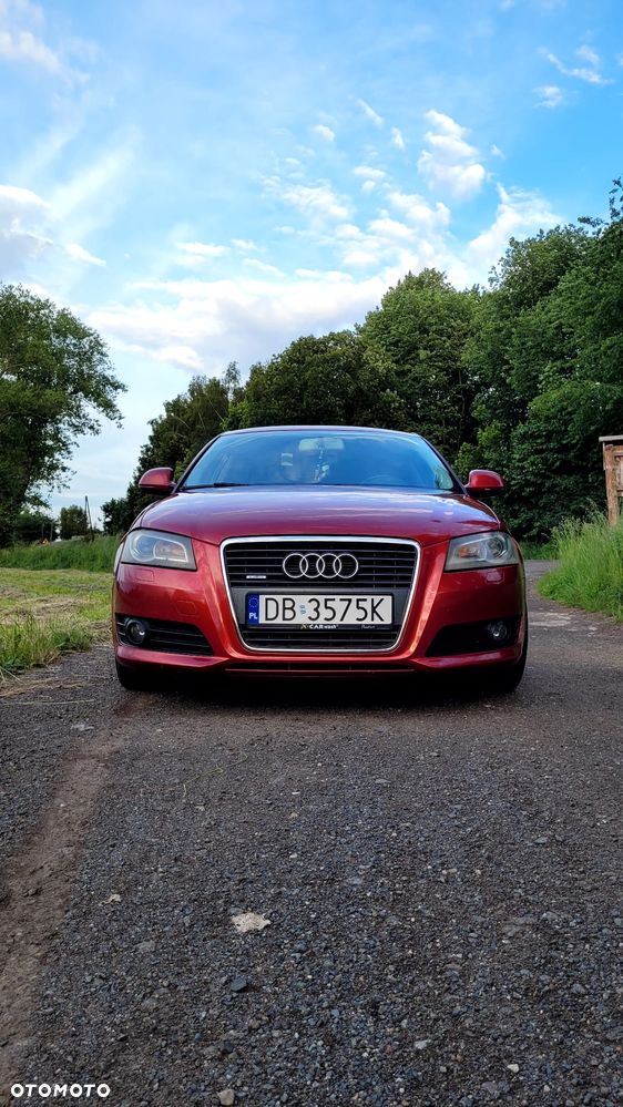 Audi A3 3-drzwiowe 2.0 TDI DPF Quattro Ambiente - 11