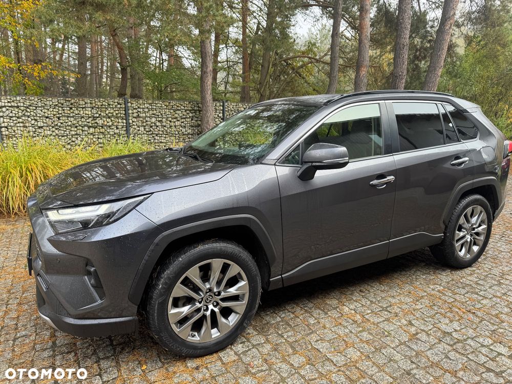 Toyota RAV4 2.5 Hybrid Executive 4x2 - 9