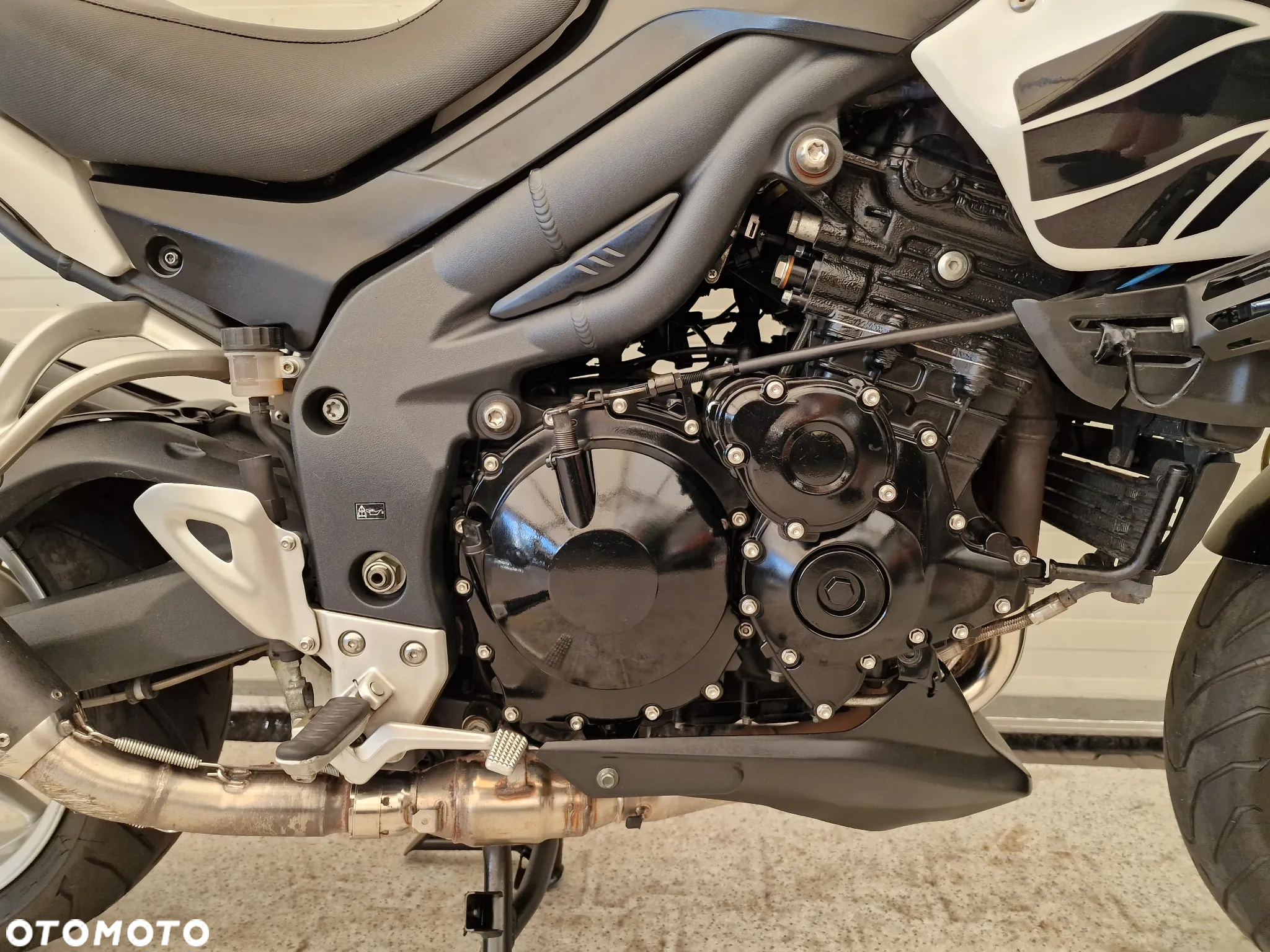 Triumph Tiger - 15
