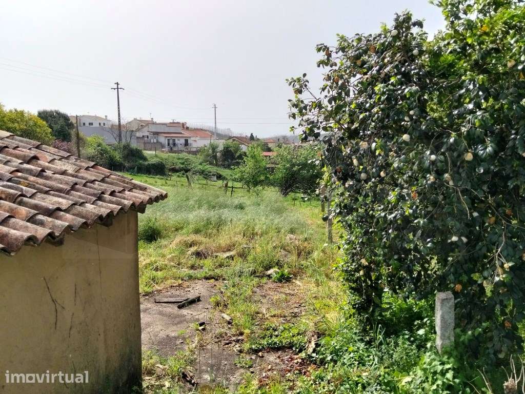 Terreno com 30m de frente - Valmaior - Grande imagem: 2/20