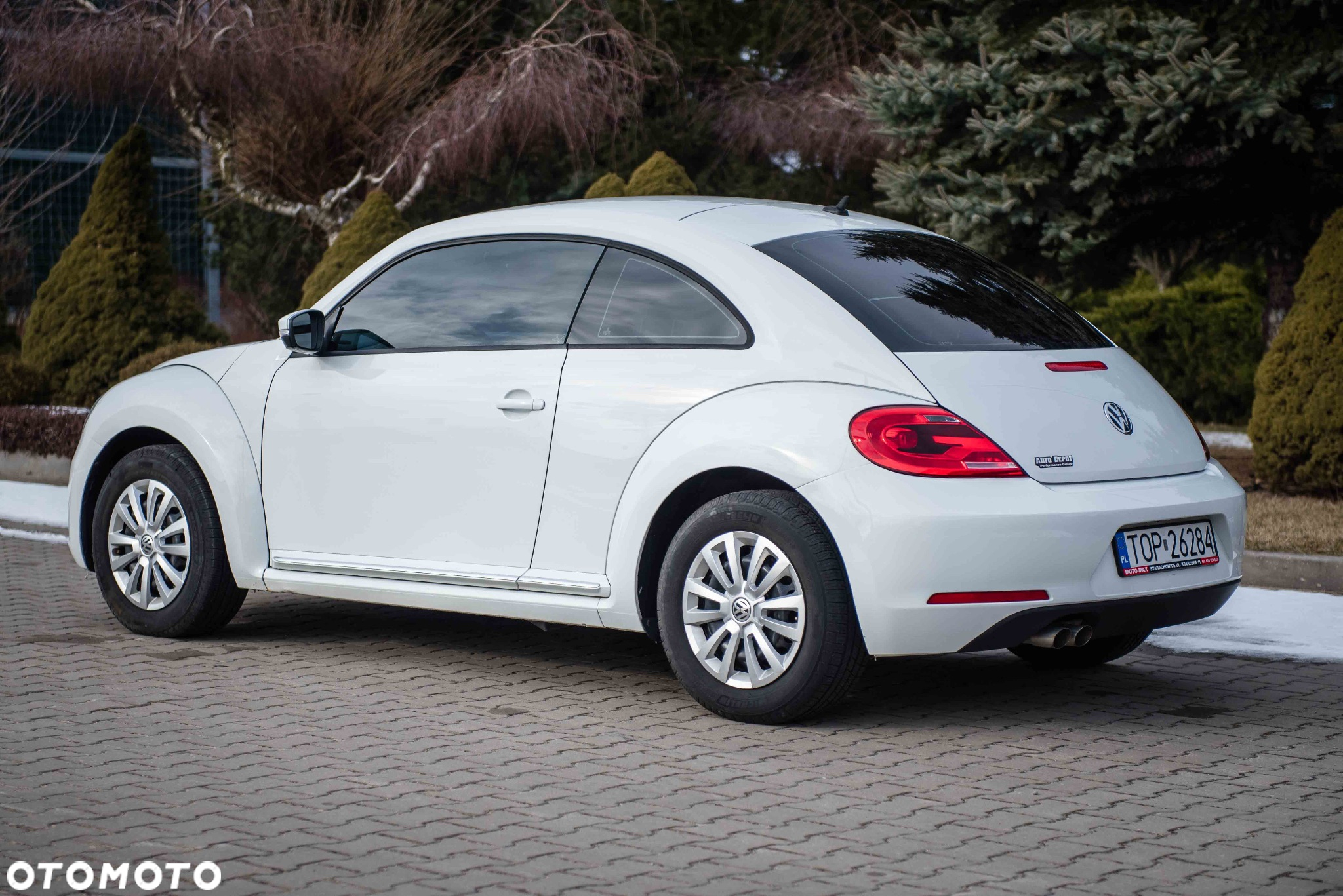 Volkswagen Beetle - 4