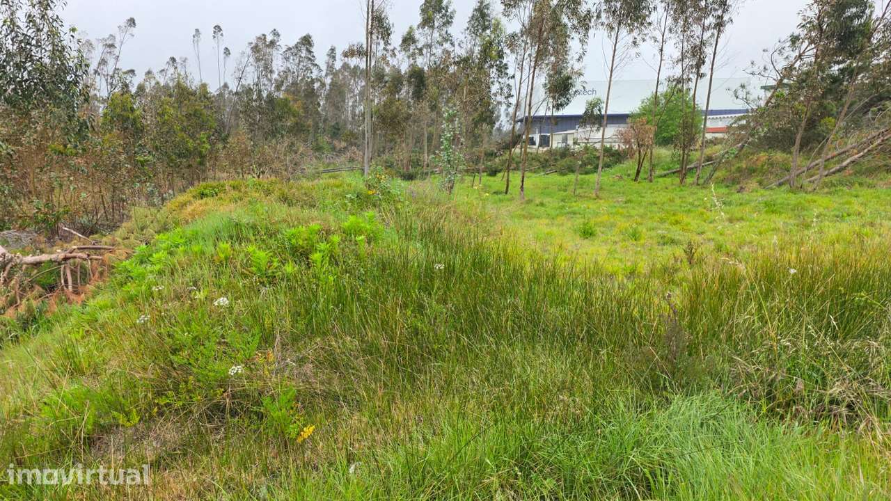 Terreno rústico de 7600m² de área, em Moita Marinha Grande - Grande imagem: 5/9