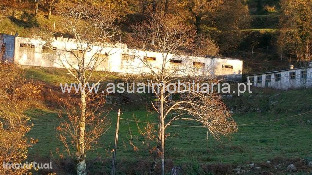 Terreno c/ Armazém - Caniçada / Vieira do Minho - Grande imagem: 3/3