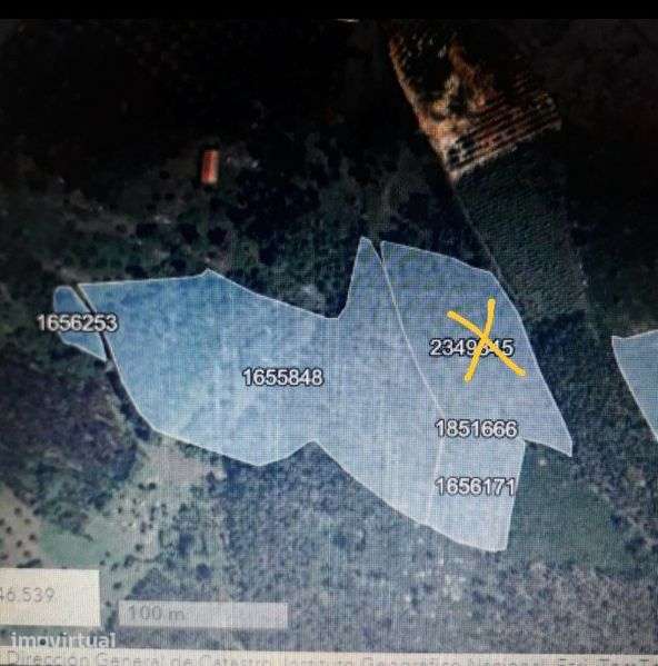 Casal da Charneca 6300m2 terreno plantação de eucaliptos - Grande imagem: 5/5