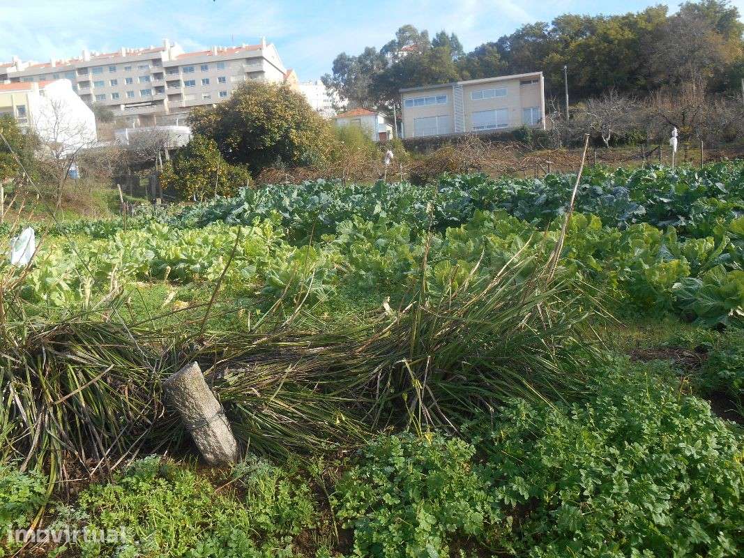Terreno - Laborim (Vila Nova de Gaia) - Grande imagem: 2/13