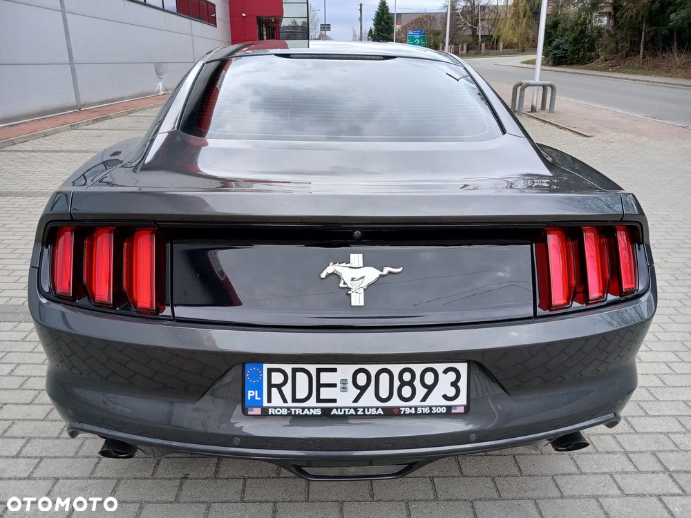 Ford Mustang - 6