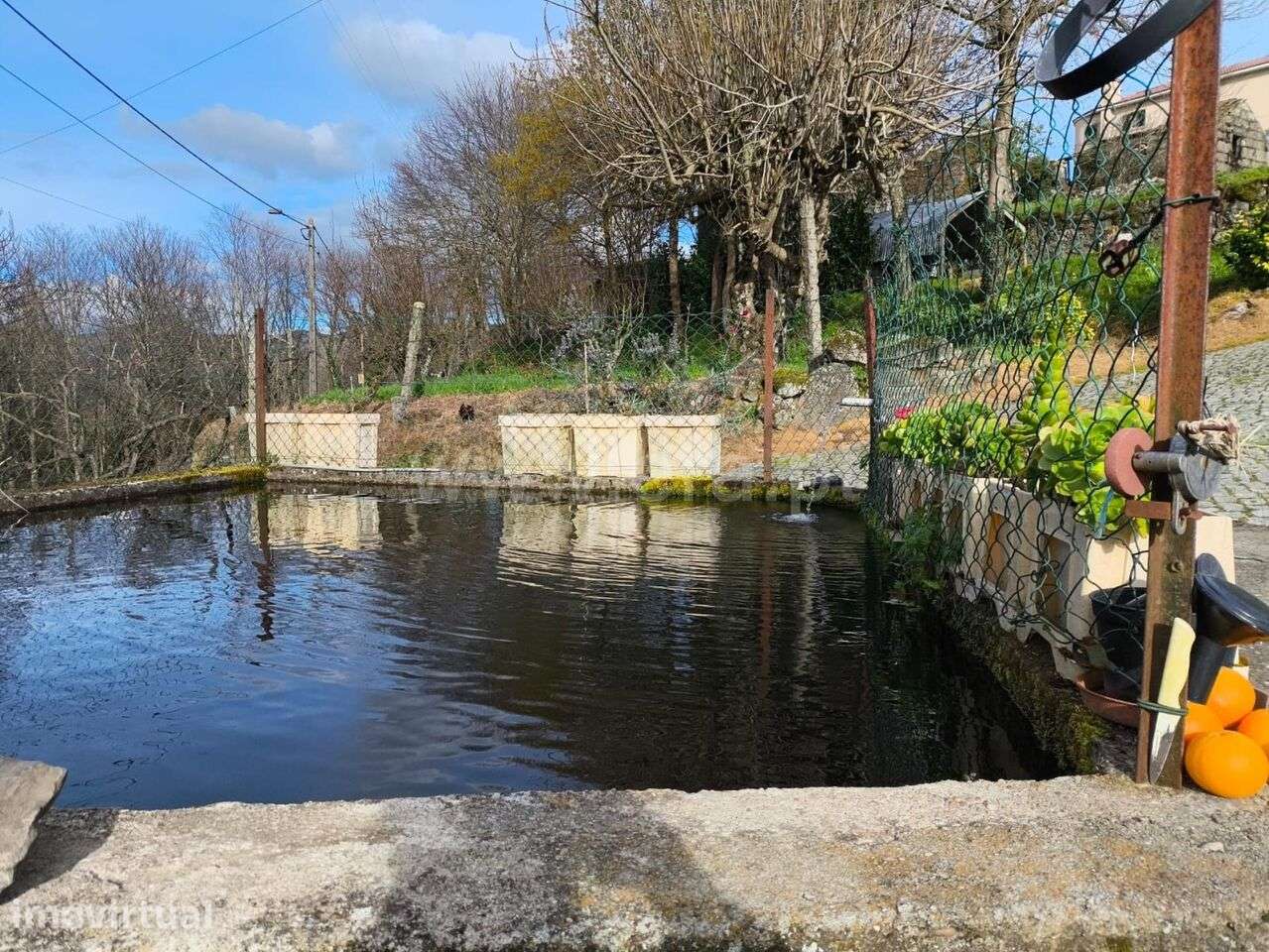 Terreno / Baião, Campelo e Ovil - Grande imagem: 2/20