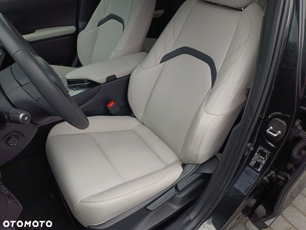 Lexus UX 300h F Sport Design - 17