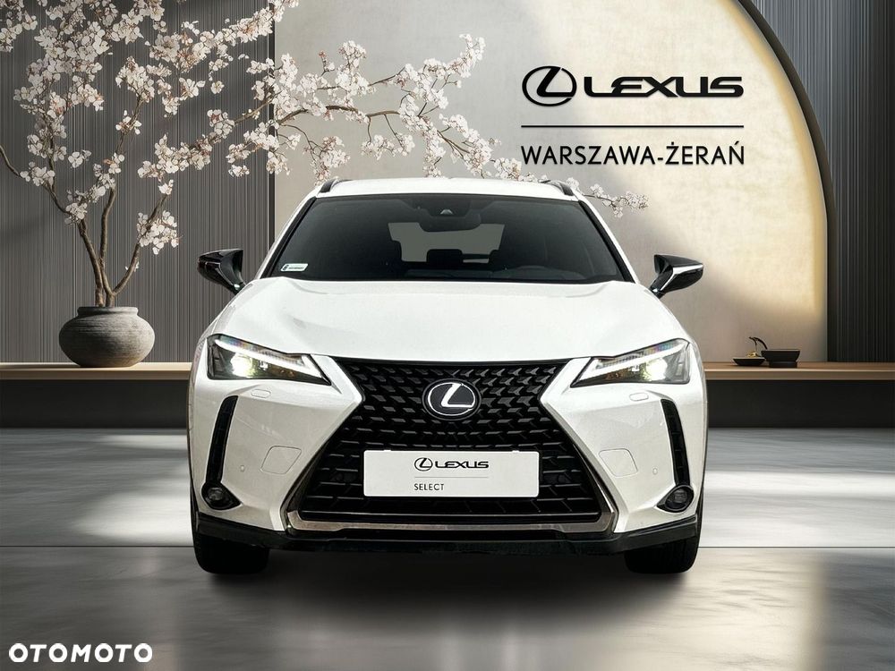 Lexus UX 250h GPF F Impression AWD - 10