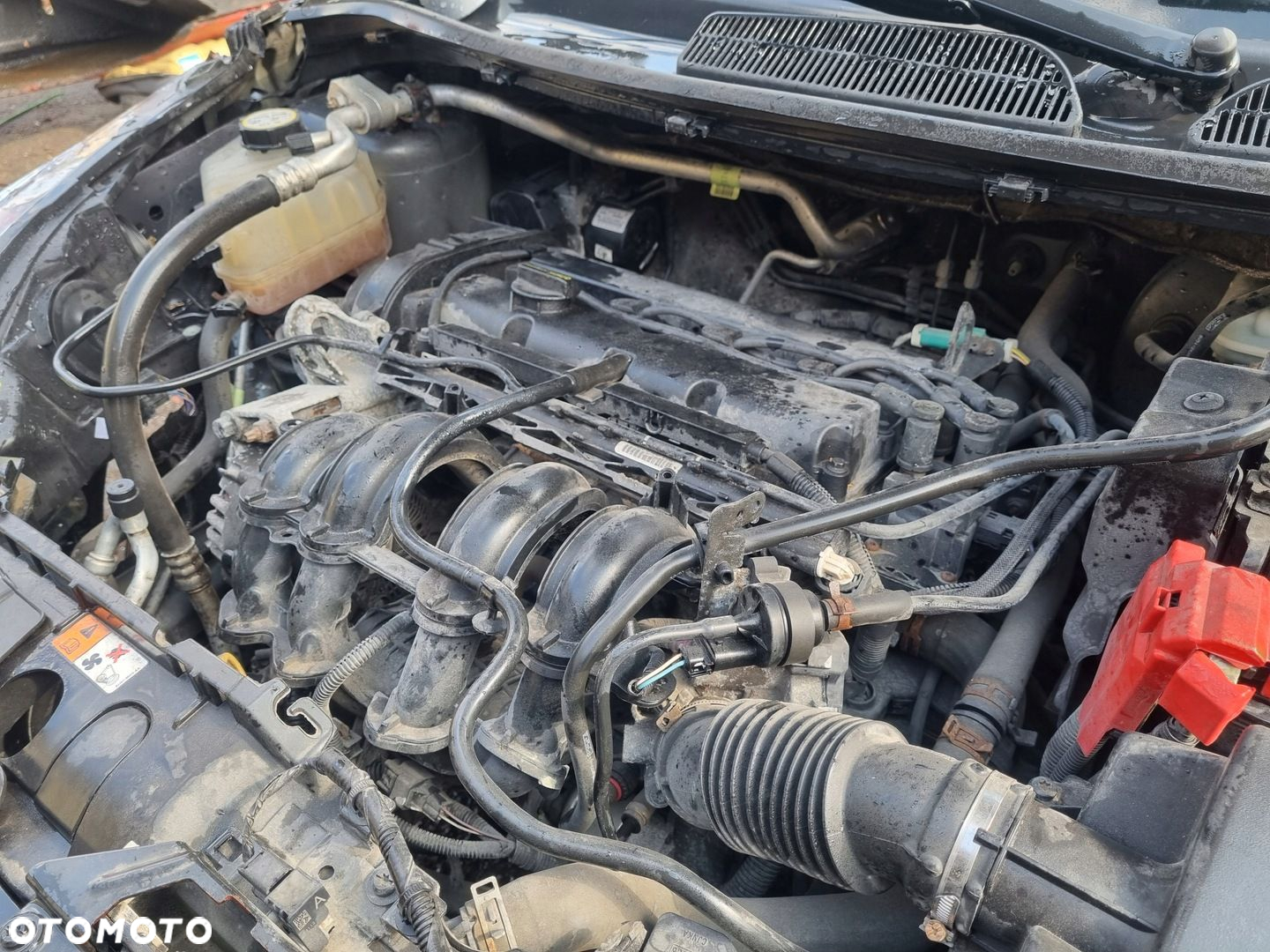 FORD FIESTA MK7 12-17 LIFT 2013 r. SILNIK 1,25 B 44 kW 60 KM 8A6G-6007-AB - 4