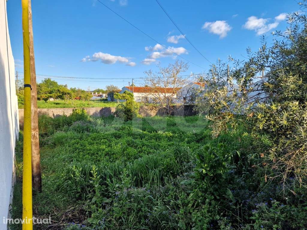 Terreno para Construção em Vila Nova da Baronia - Grande imagem: 5/19