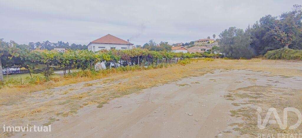 Terreno em Sopo de 600,00 m2 - Grande imagem: 4/30