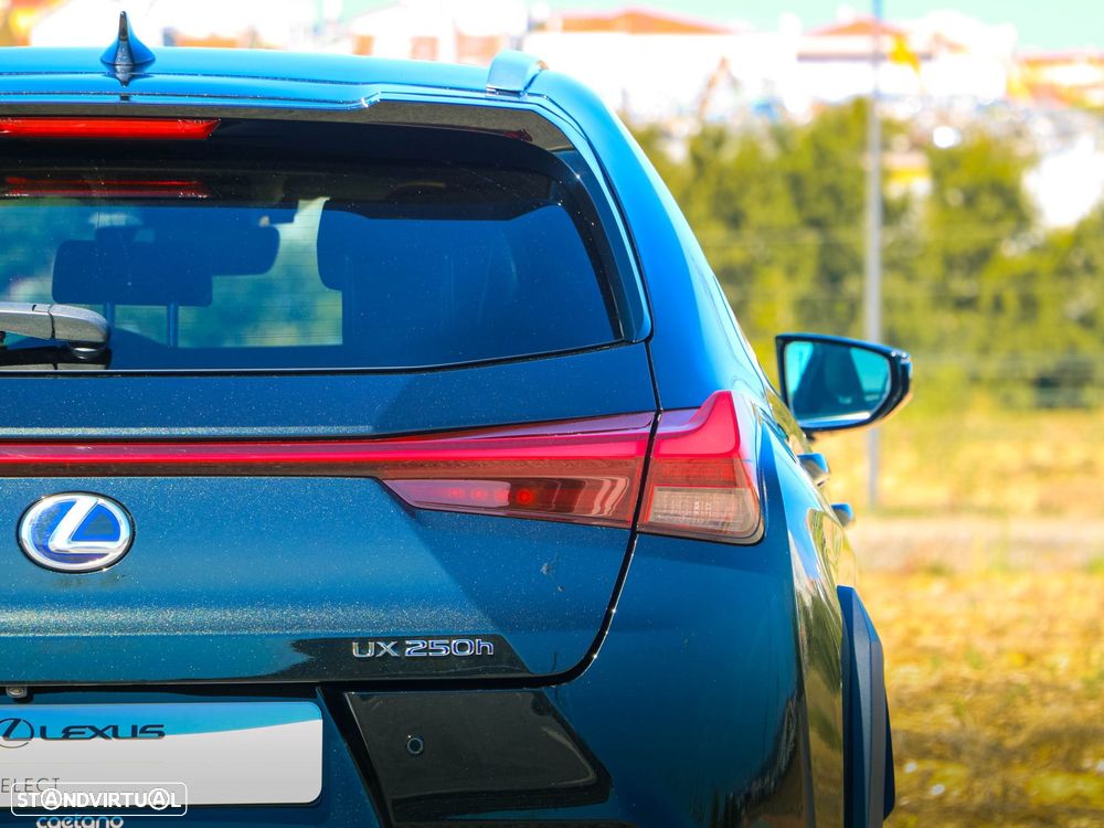Lexus UX 250h Premium - 22