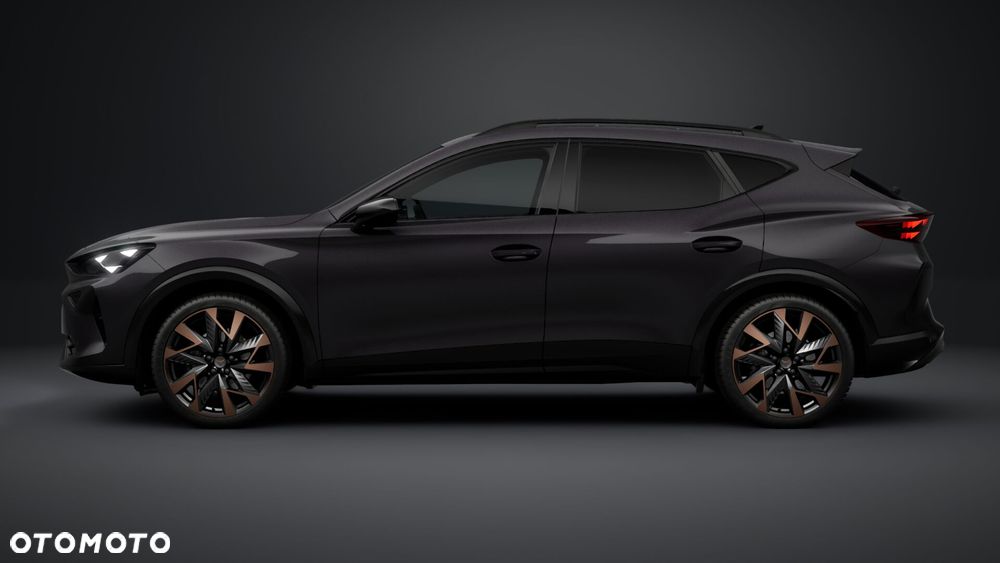Cupra Formentor 2.0 TSI 4Drive DSG - 2