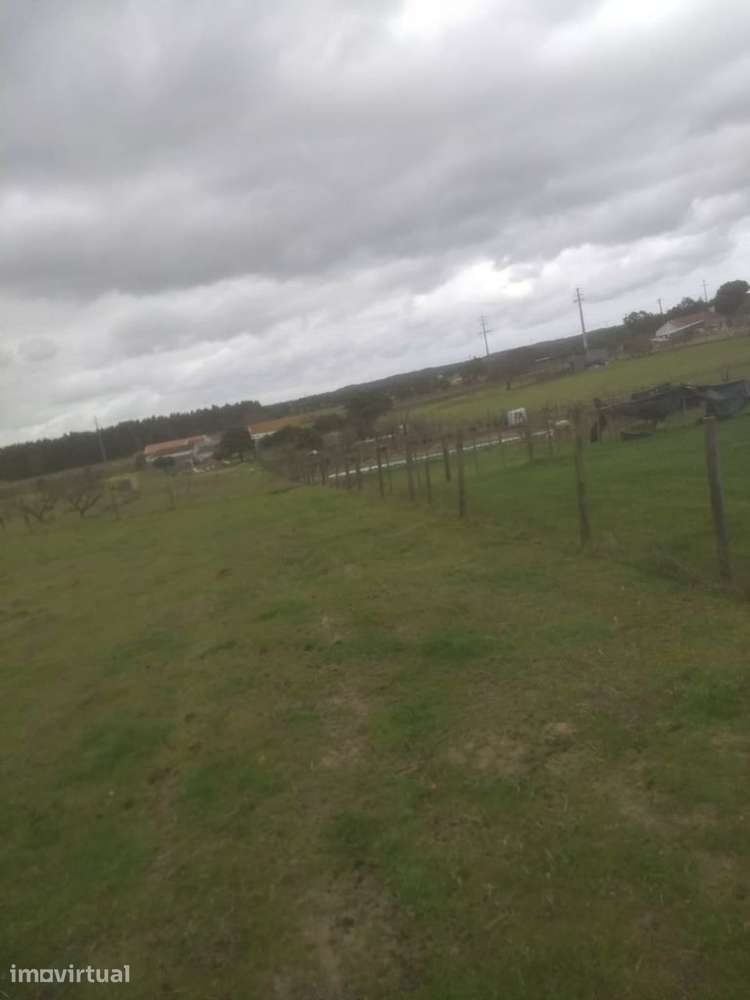Quinta T4 com piscina e garagem em Montijo - Grande imagem: 5/6