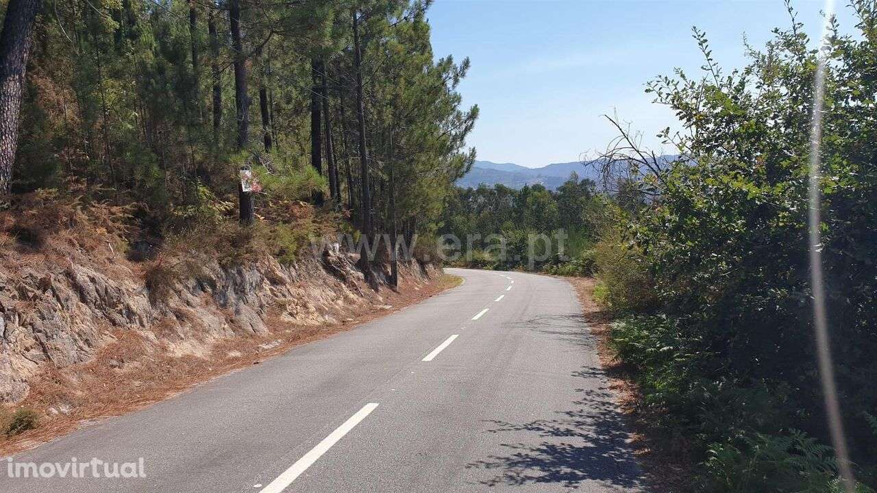 Terreno / Marco de Canaveses, Penhalonga e Paços de Gaiolo - Grande imagem: 2/4
