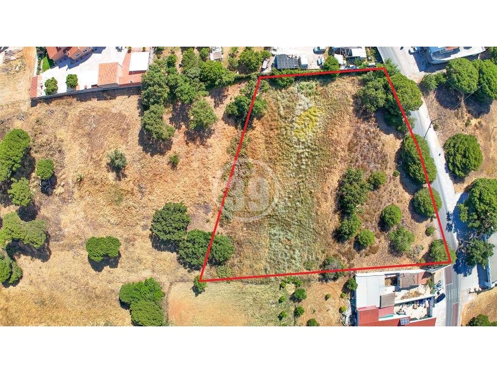 Terreno rustico com 4.232m2, situado em Escanchinhas/Almancil. - Grande imagem: 3/6