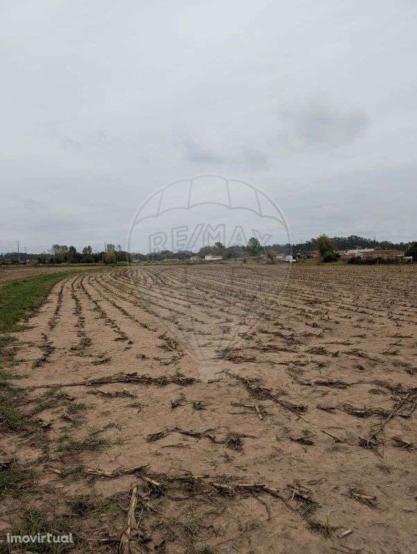 Terreno  para venda - Grande imagem: 5/7