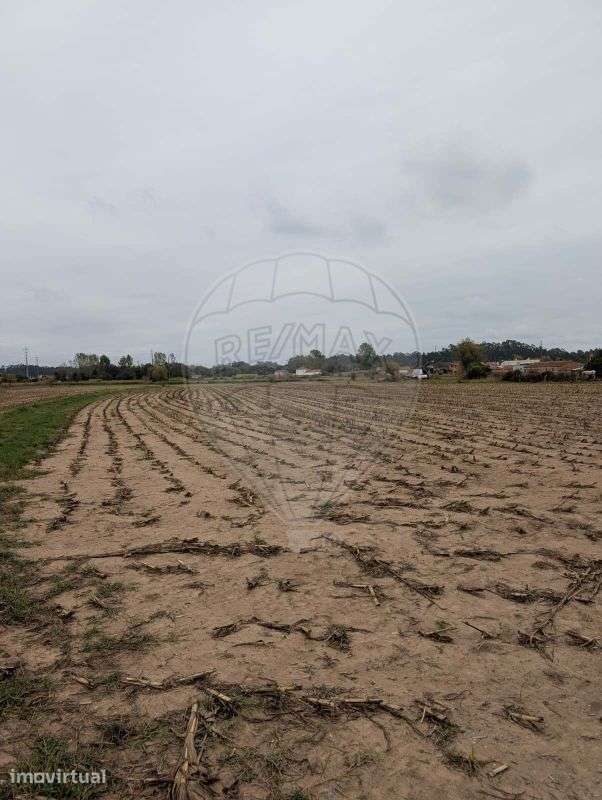 Terreno  para venda - Grande imagem: 5/7