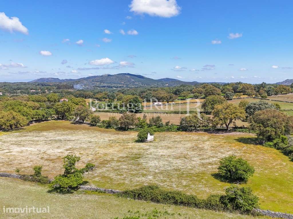 Quinta de 10 ha com projeto aprovado para 2 moradias em Marvão - Grande imagem: 3/60