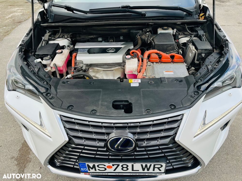 Lexus Seria NX 300h AWD Executive Plus - 25