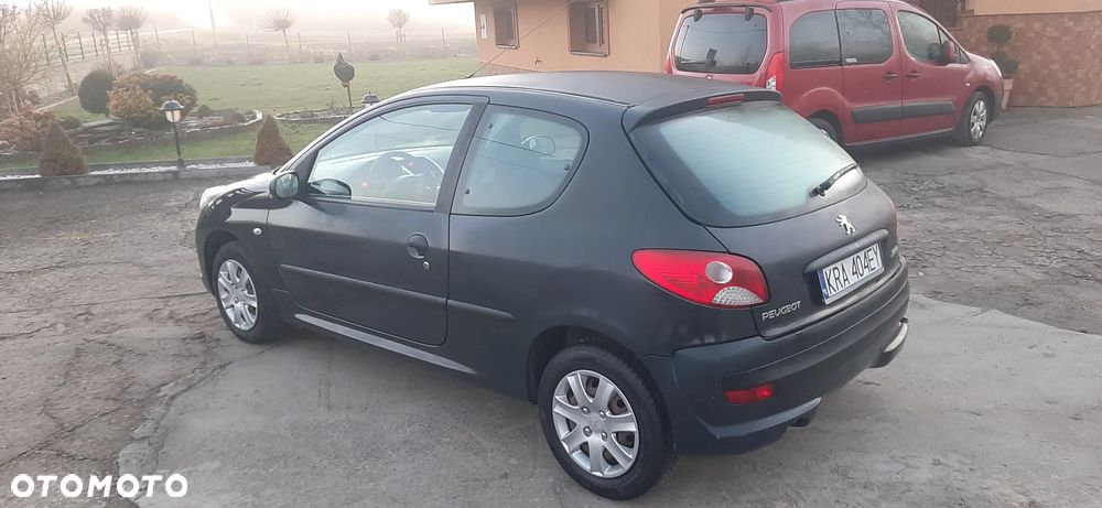 Peugeot 206 plus - 5