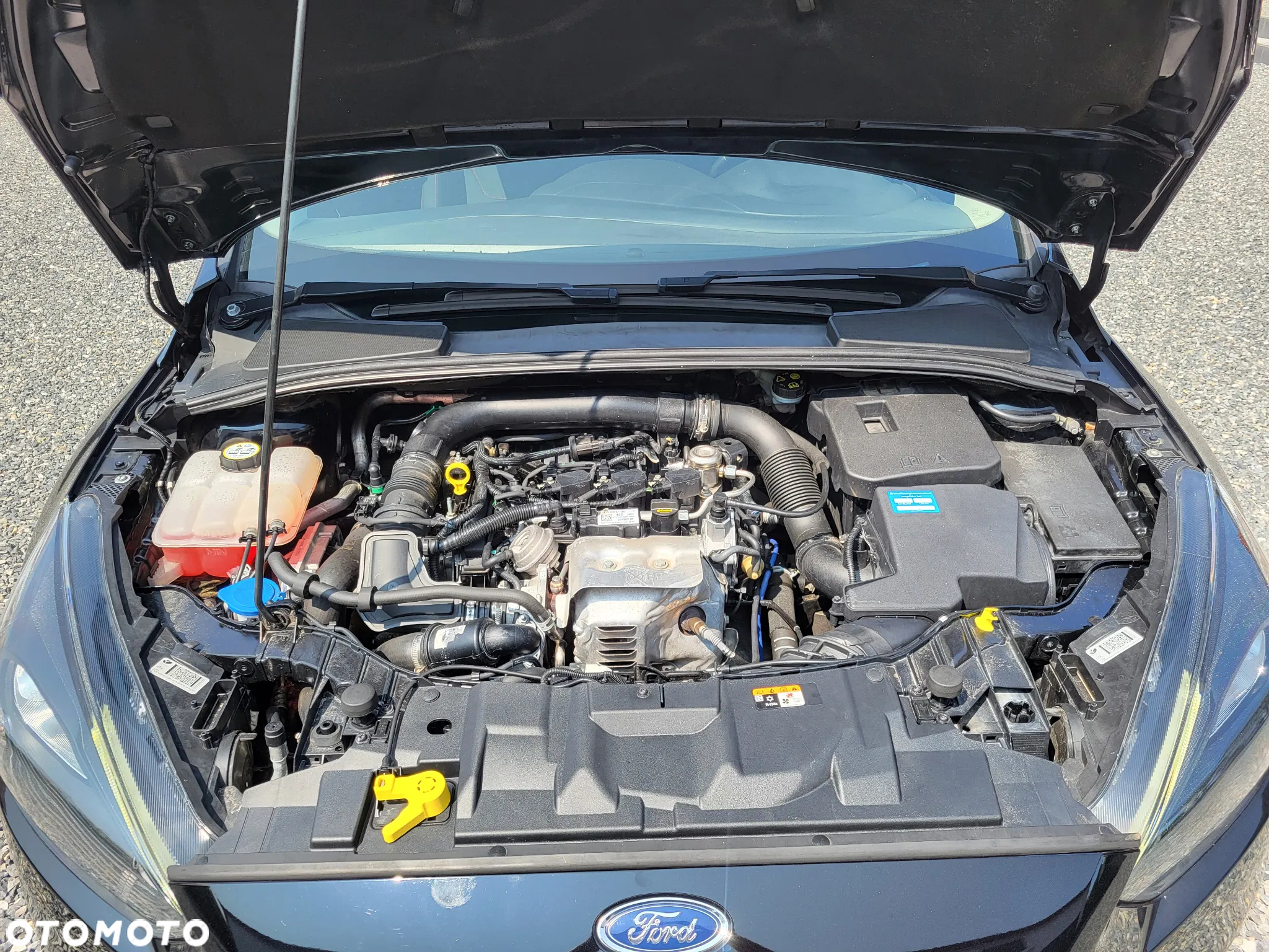 Ford Focus 1.0 EcoBoost ST-Line Red ASS - 8
