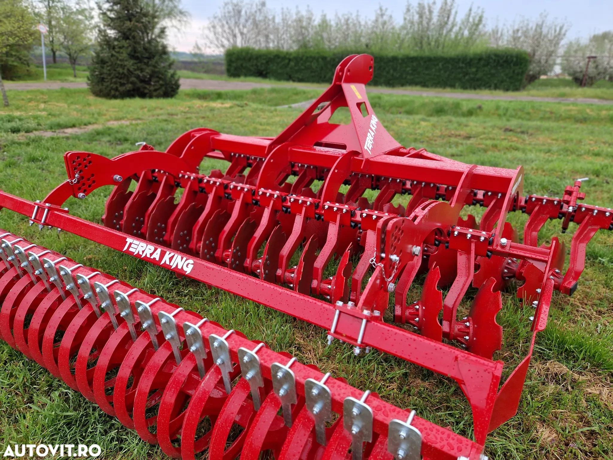 Rotor TerraDisc D1 - 4