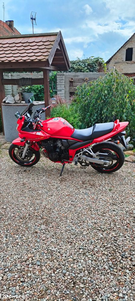 Suzuki Bandit - 6