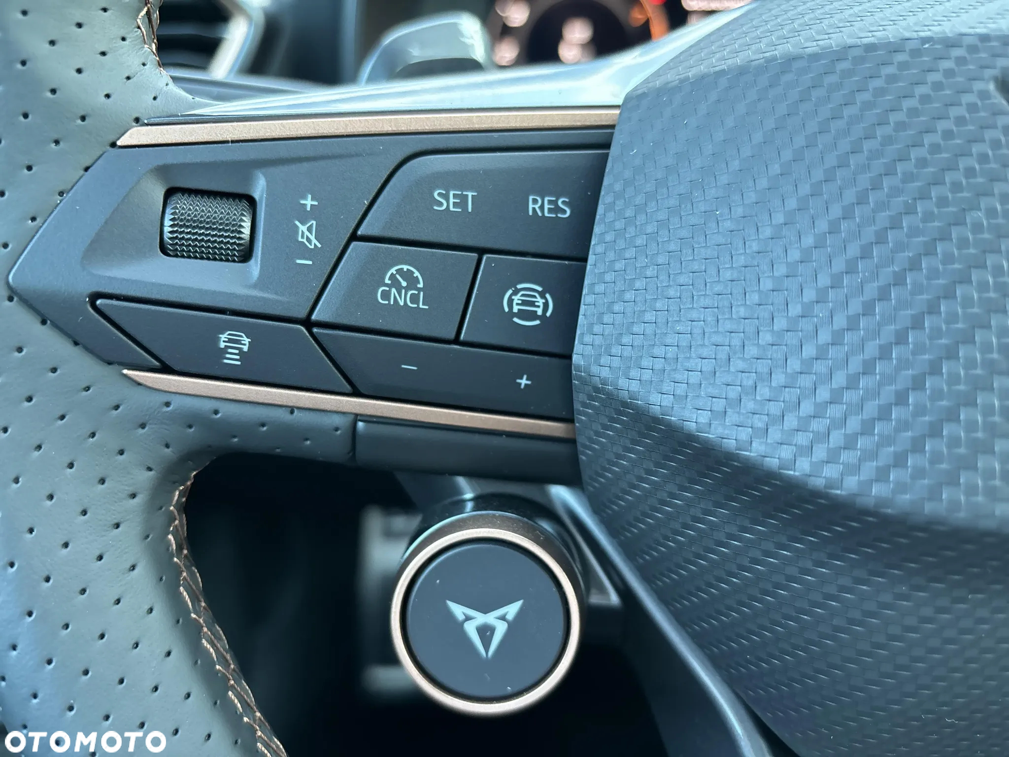 Cupra Formentor 2.0 TSI 4Drive DSG - 20
