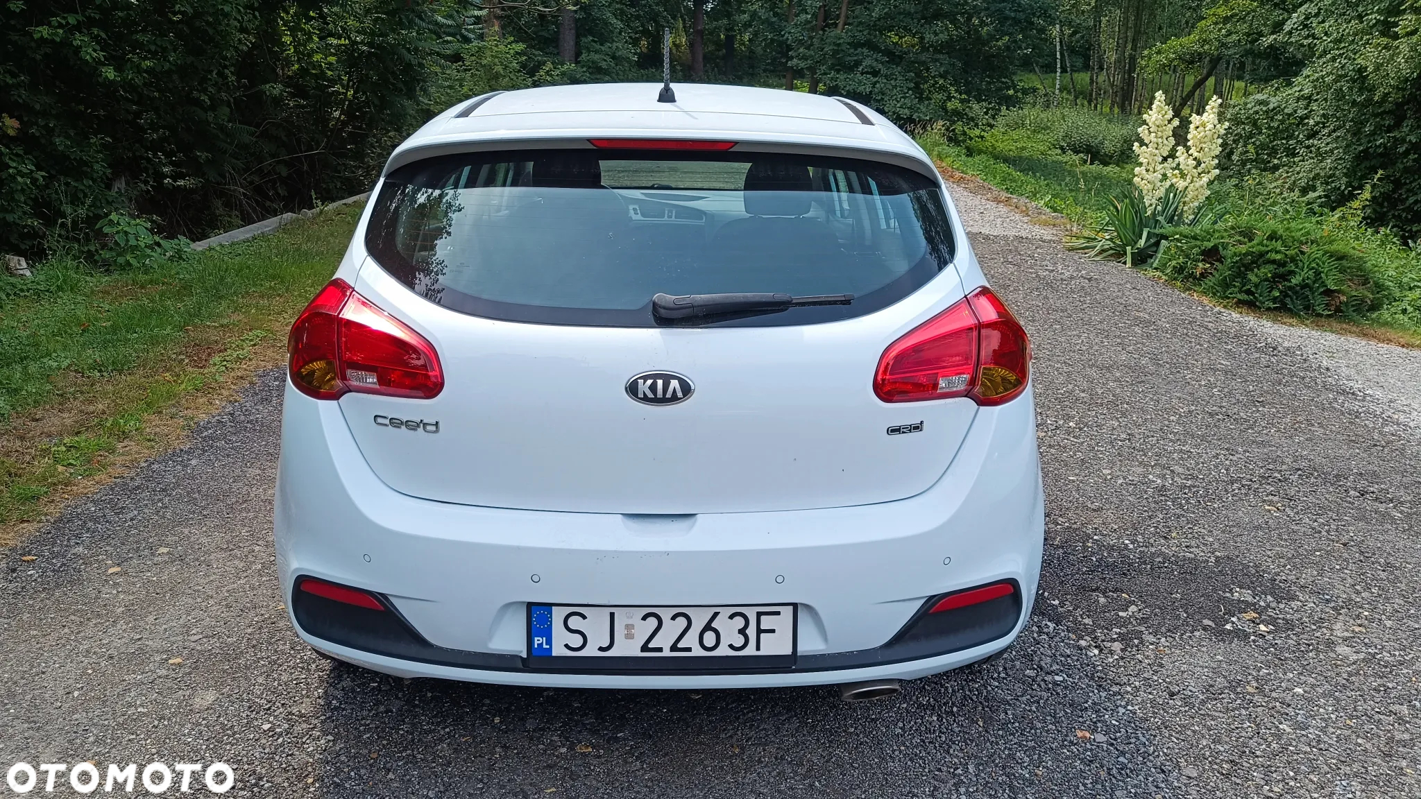 Kia Ceed Cee'd 1.6 CRDi S - 3