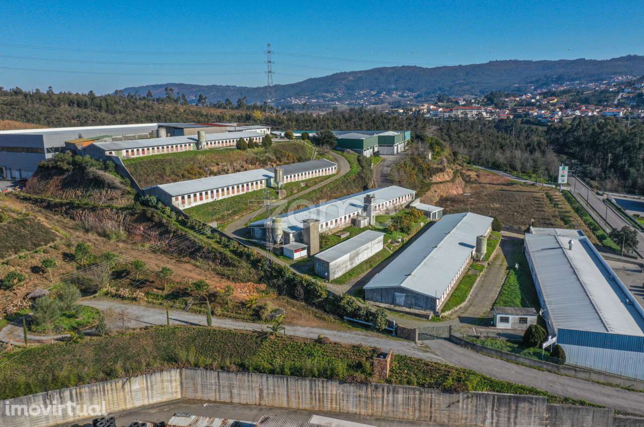 5 Pavilhões em Agrela, Santo Tirso - Grande imagem: 3/39