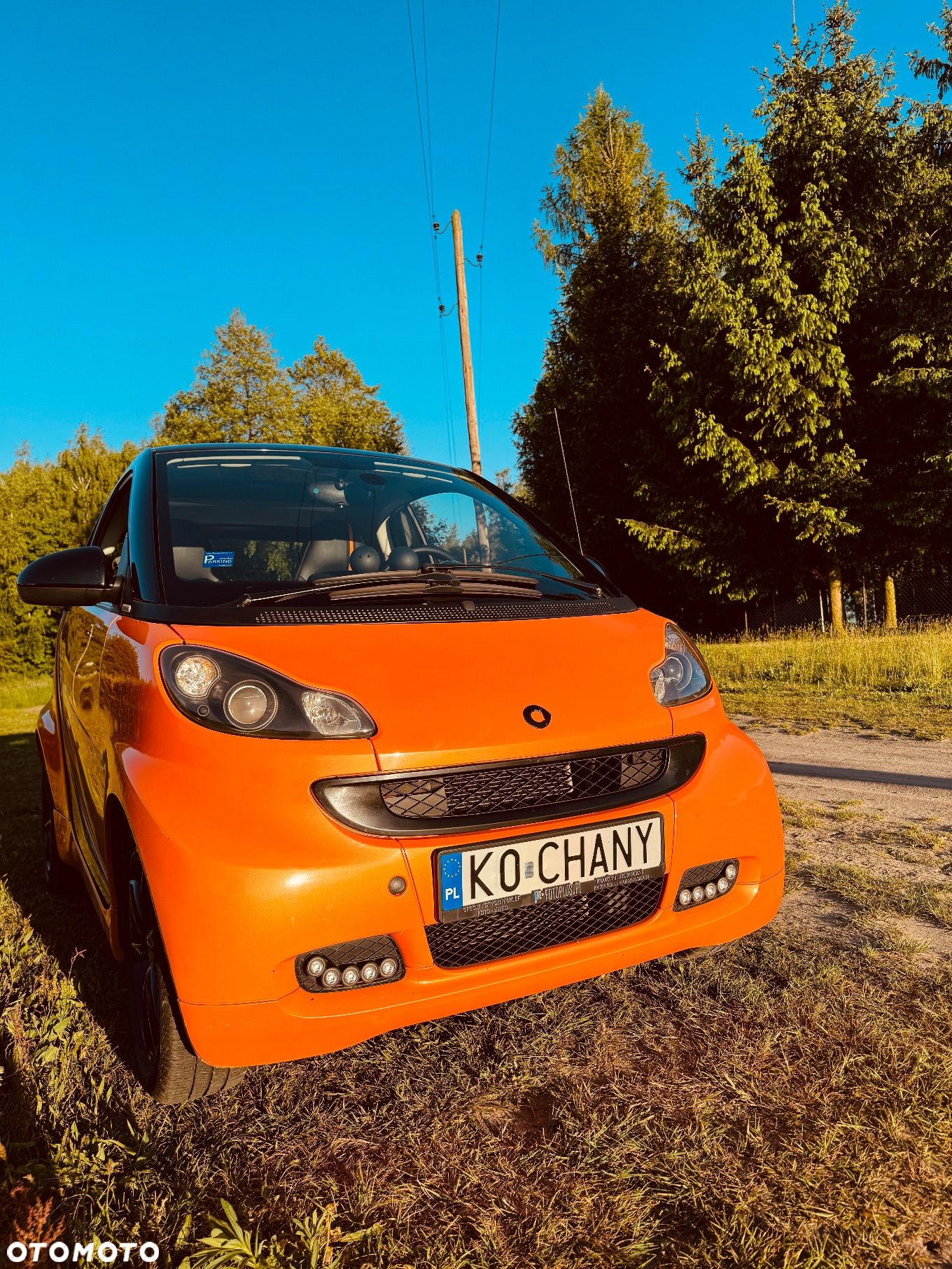 Smart Fortwo & passion cdi dpf - 1