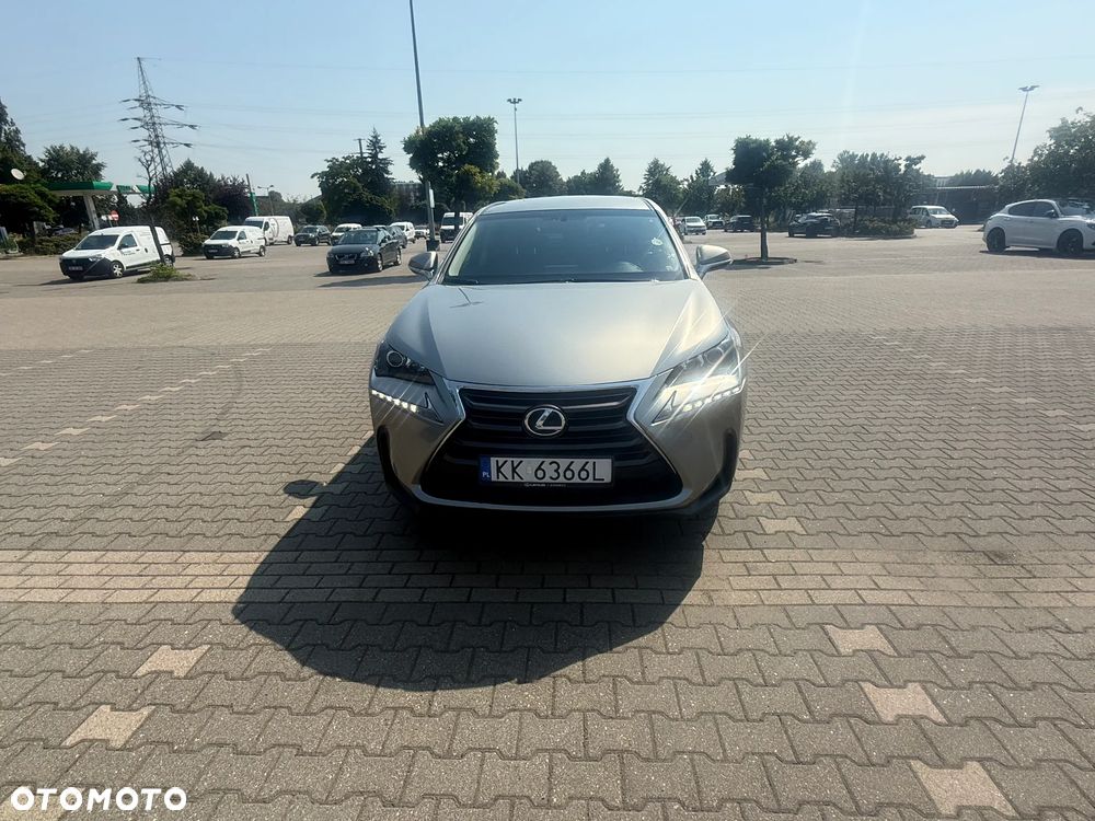 Lexus NX 300h Elegance 2WD - 7