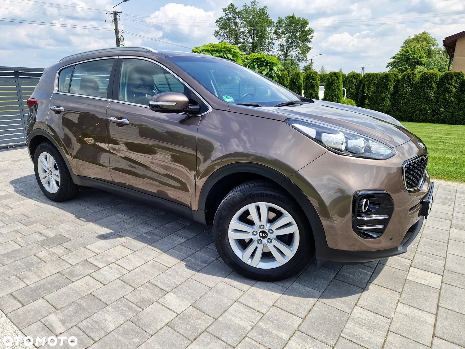 Kia Sportage 1.6 GDI L Business Line 2WD - 11