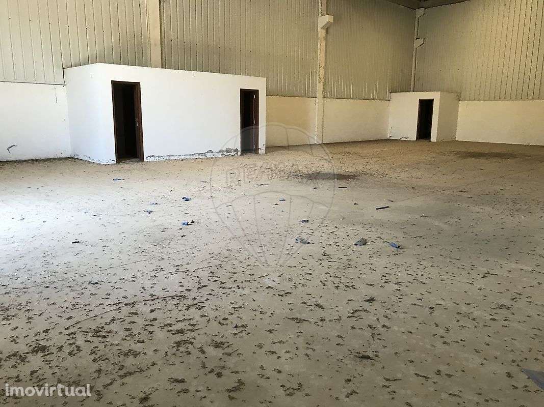 Armazém  para venda - Grande imagem: 3/13