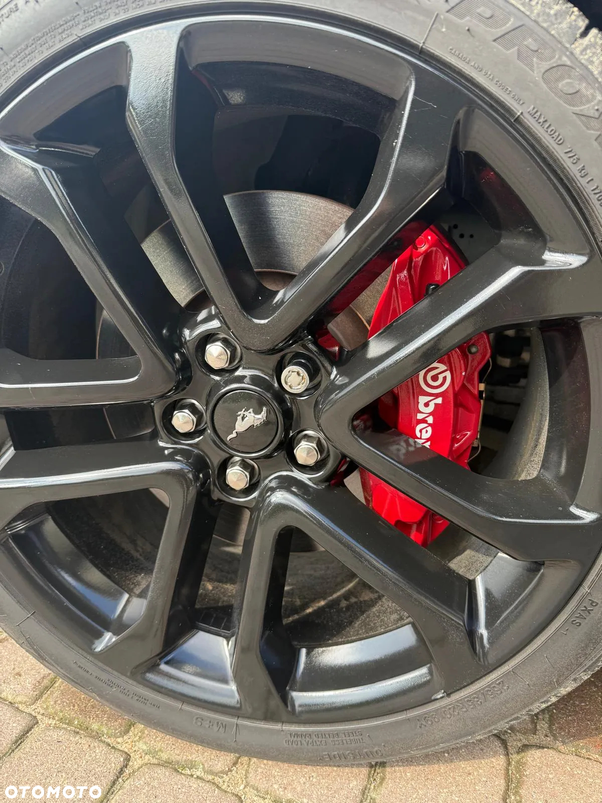 Ford Mustang 5.0 Ti-VCT V8 GT - 6